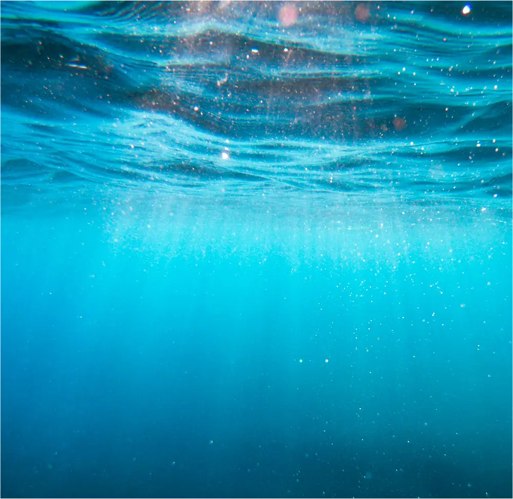 Wasser