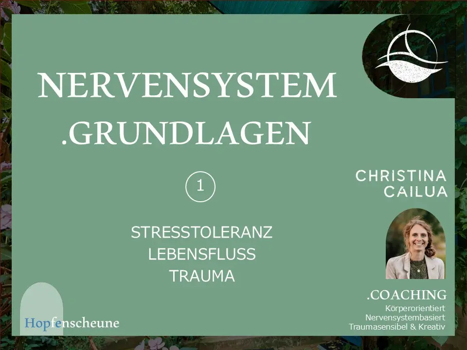 NervensystemGrundlagen1HP